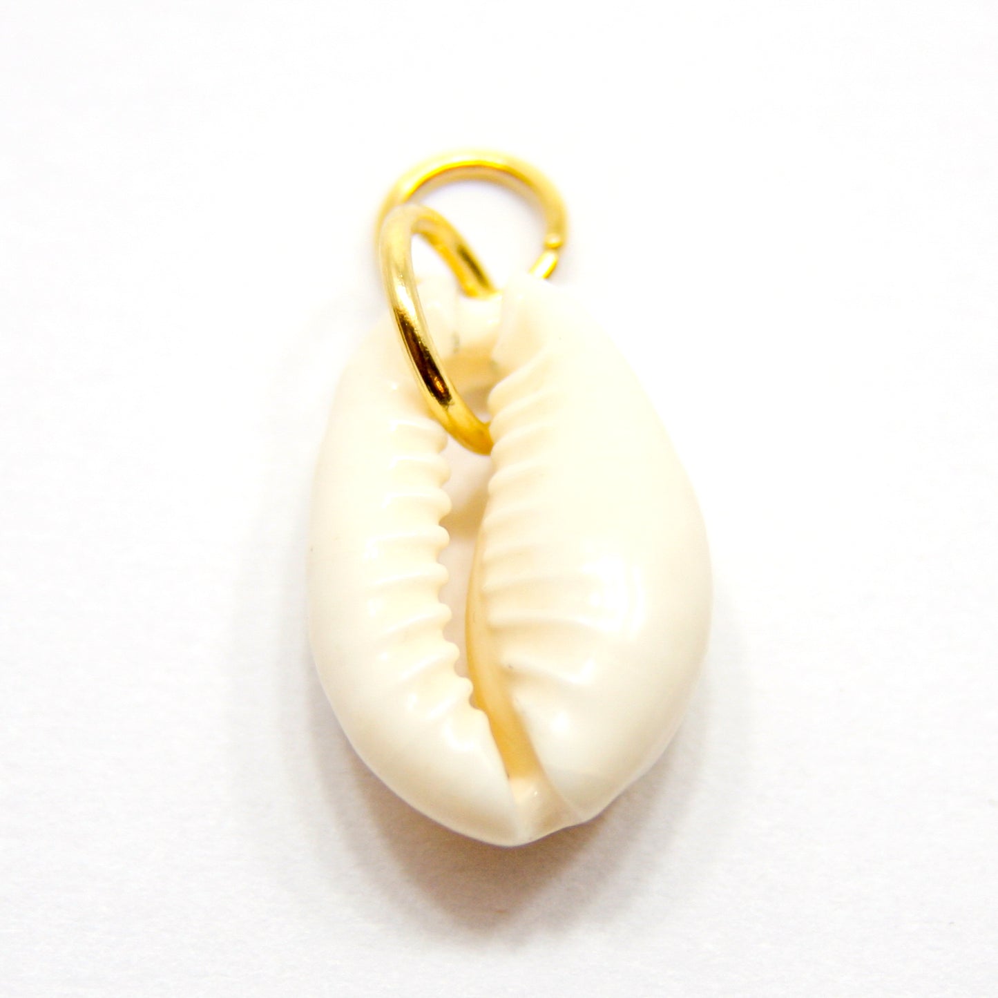 Bedel, Schelp, Goud en Wit, 17 mm