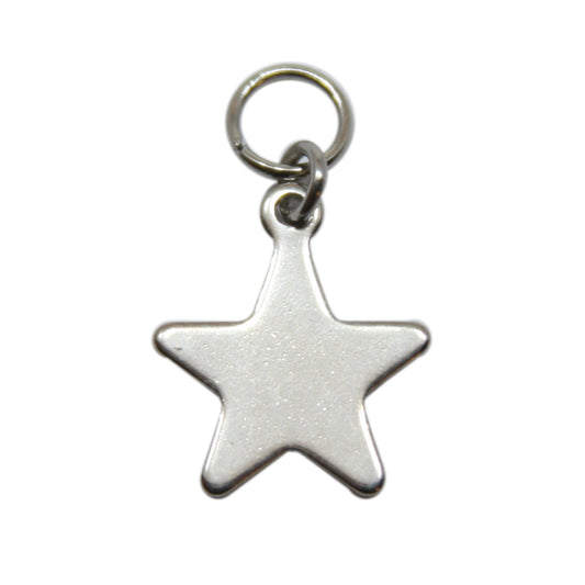 Bedel, ster medium, Zilver, 20 mm