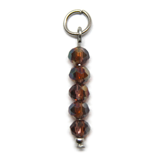 Bedel, 5 Discus, Zilver en Bruin, 22 mm